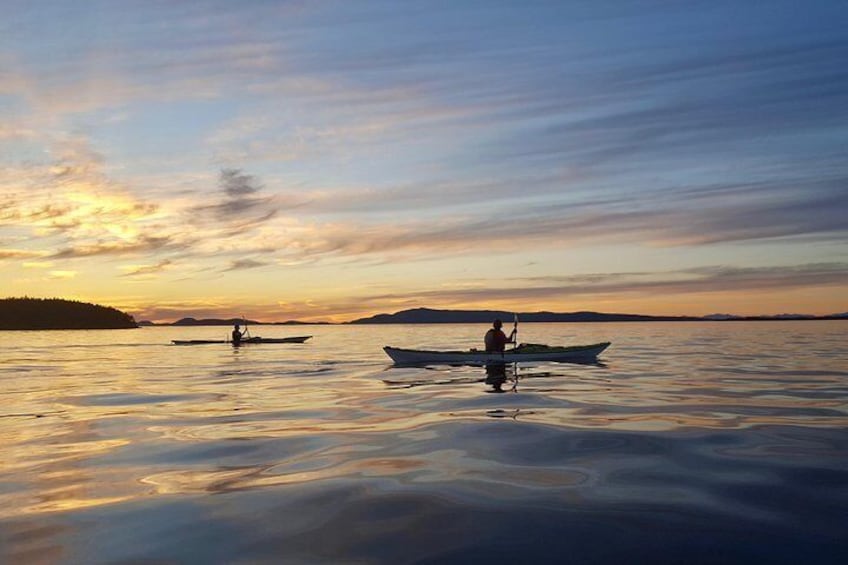 Full Day San Juan Island Kayaking Adventure