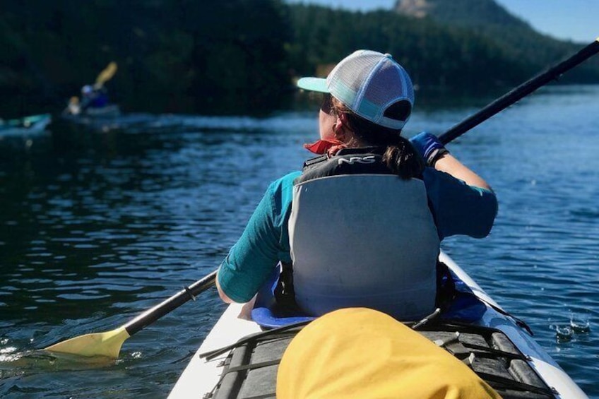 Kayaking Tour in The San Juan Islands, Washington 