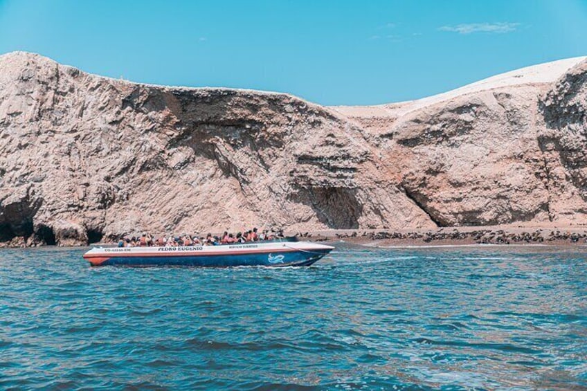 Private Ballestas Islands & Nazca Lines Tour from San Martin Port