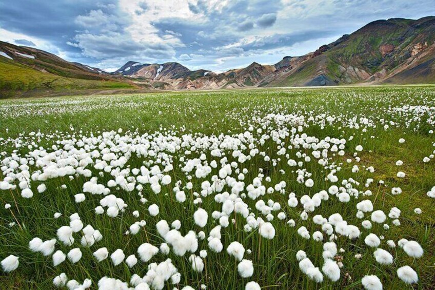 Super Jeep Tour to Landmannalaugar
