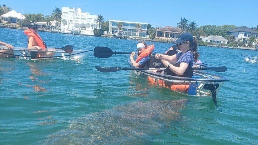 Clear Kayak Glass Bottom Day Tour - Anna Maria Island
