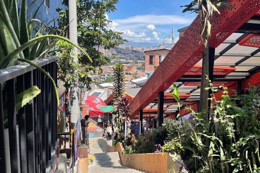 VISIT in one DAY COMUNA 13(GRAFFITIS) & a beautiful COFFEE FARM!!