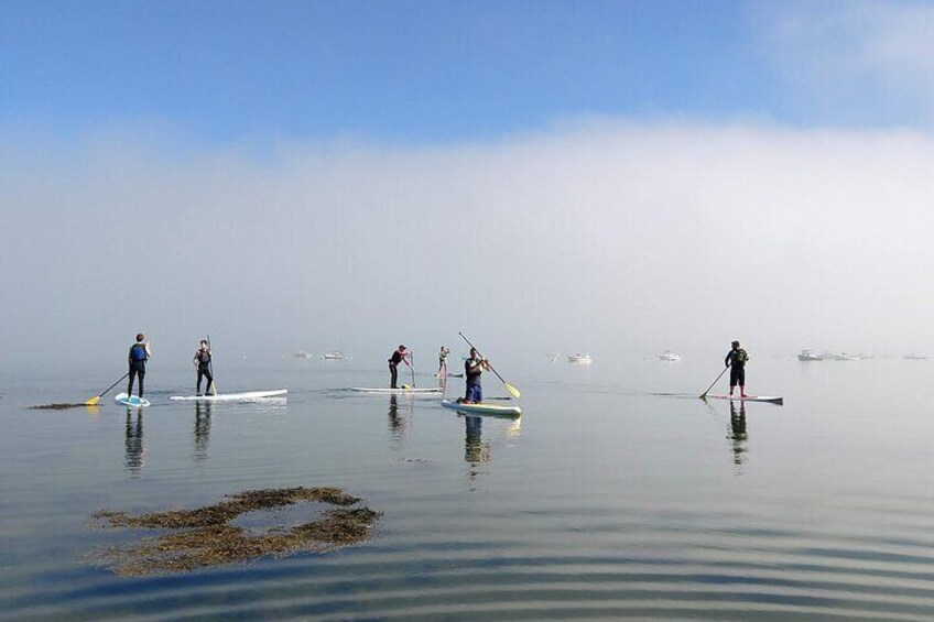 Stand-Up Paddle Sunset Tour in Portland