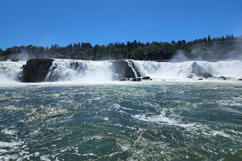 Get up close to the Willamette Falls