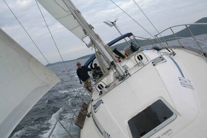 Vrsar : Observation des dauphins et croisière privée d’une journée touristi...