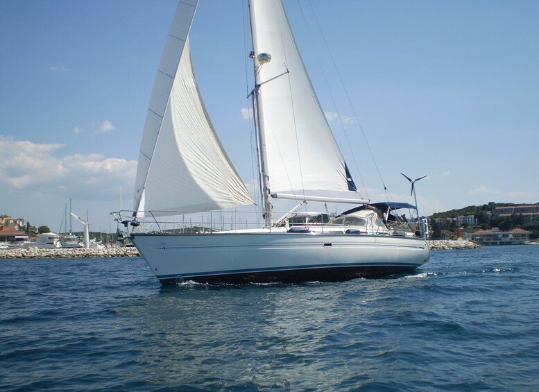 Picture 2 for Activity Vrsar: Dolphin Watching and Sightseeing Private Day Cruise