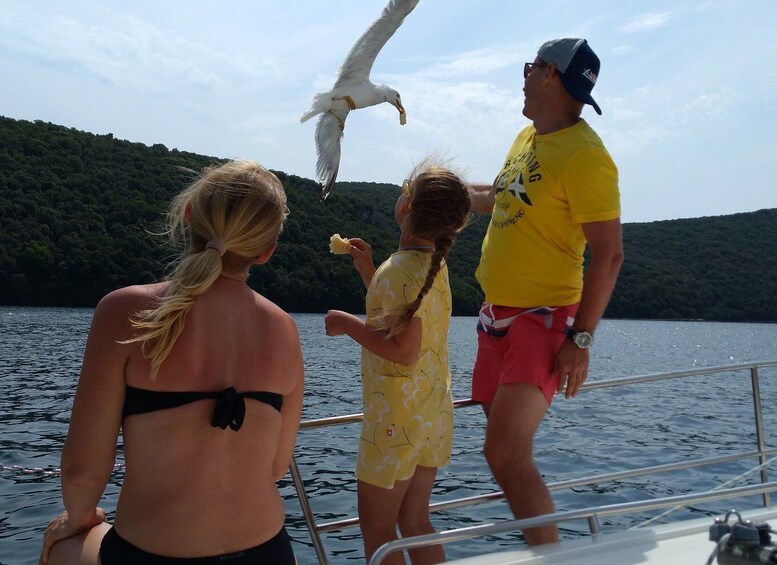 Picture 7 for Activity Vrsar: Dolphin Watching and Sightseeing Private Day Cruise