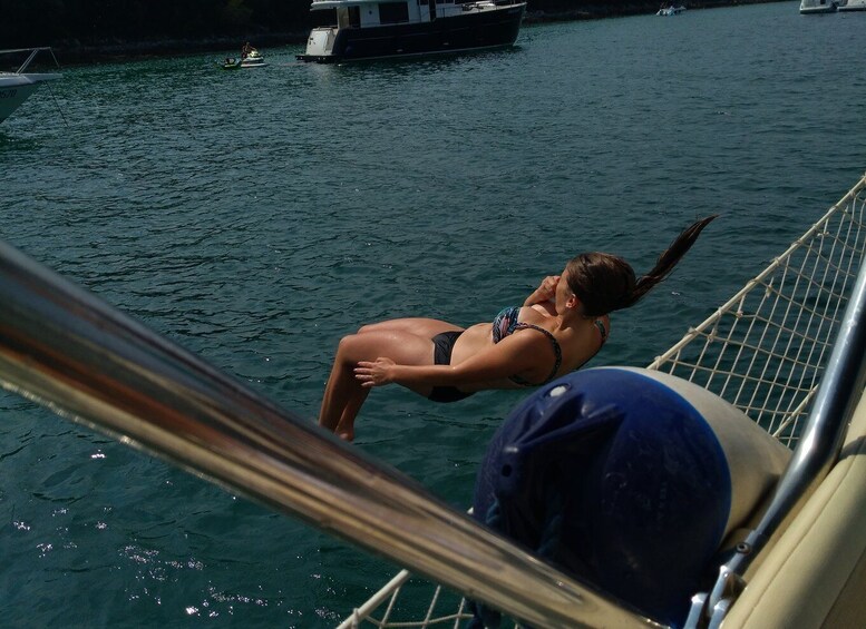 Picture 4 for Activity Vrsar: Dolphin Watching and Sightseeing Private Day Cruise