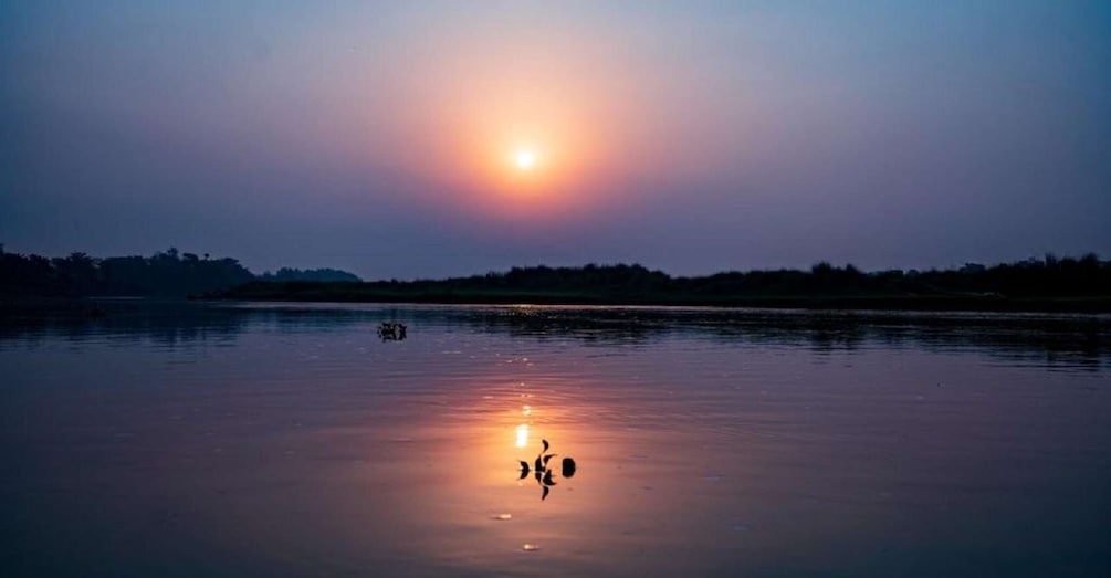 Picture 4 for Activity 3-Day Chitwan Jungle Safari Adventure From Kathmandu/Pokhara