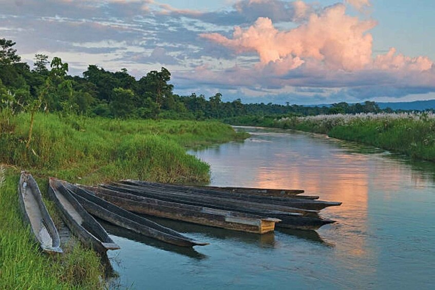 Picture 17 for Activity 3-Day Chitwan Jungle Safari Adventure From Kathmandu/Pokhara