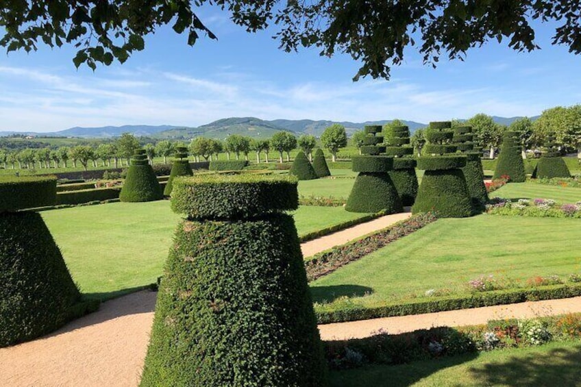 Private tour to discover the soul of Beaujolais