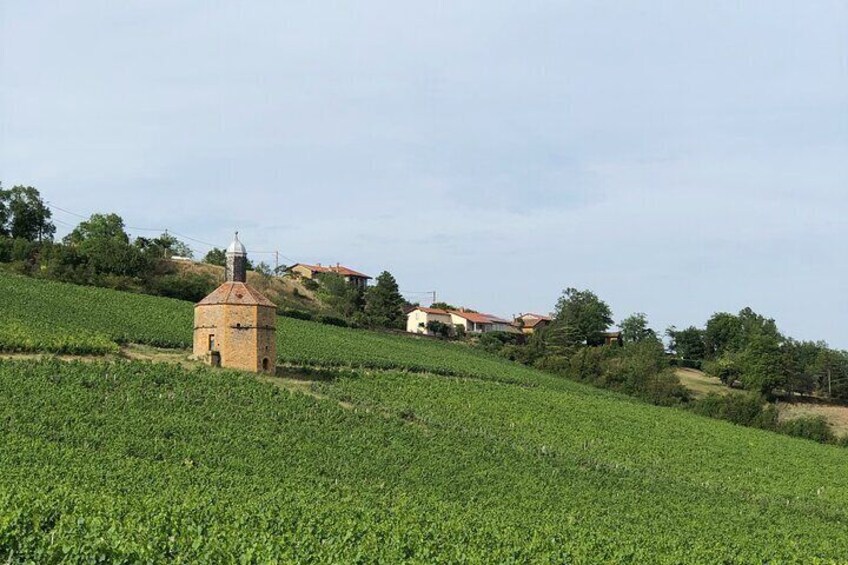 Private tour to discover the soul of Beaujolais