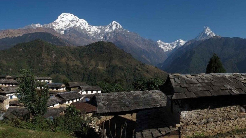 Picture 2 for Activity Exploring Ghandruk's Beauty: Guided 3-Day Trek from Pokhara