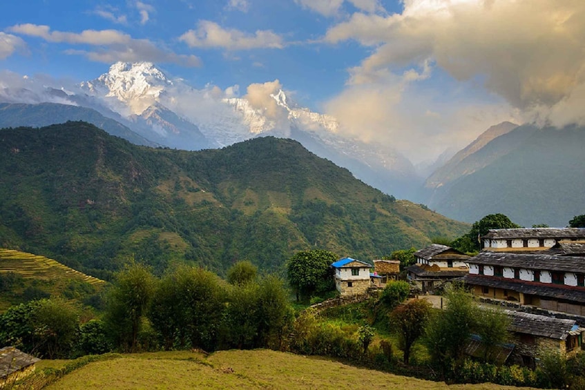 Picture 3 for Activity Exploring Ghandruk's Beauty: Guided 3-Day Trek from Pokhara