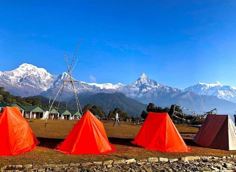 Picture 11 for Activity From Pokhara: 2-Day Scenic Australian Camp Trek