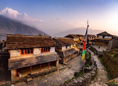 Från Pokhara: 2-dagars naturskön vandring i Australian Camp