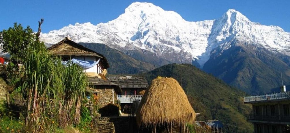 Picture 11 for Activity Pokhara Panorama Trek: 2-Day Hike with Annapurna Views