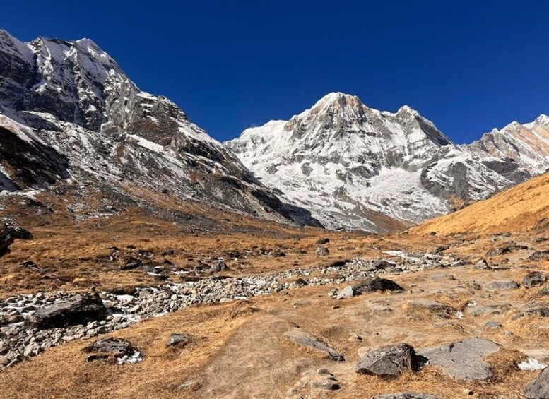 Picture 3 for Activity Pokhara: 7-Day 6-Night Annapurna Himalayas Base Camp Trek