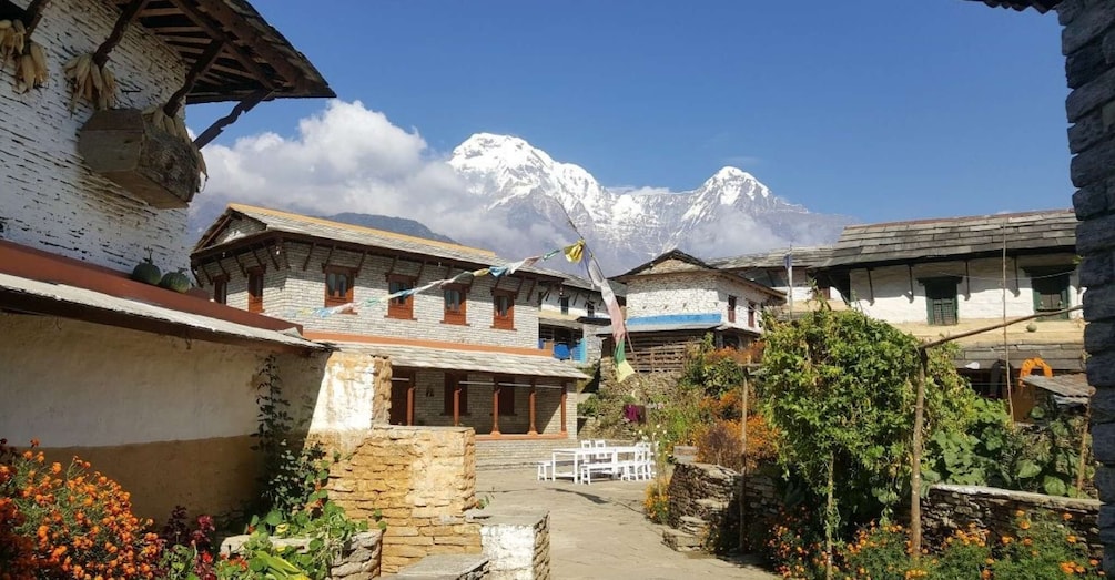 Picture 5 for Activity From Kathmandu: 10-Days Annapurna Base Camp Private Trek