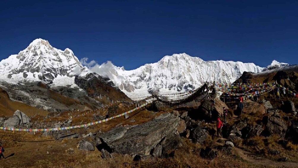 Picture 8 for Activity From Kathmandu: 10-Days Annapurna Base Camp Private Trek