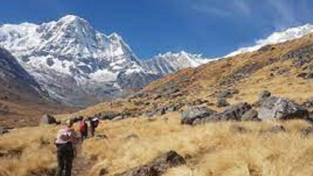 Picture 6 for Activity From Kathmandu: 10-Days Annapurna Base Camp Private Trek