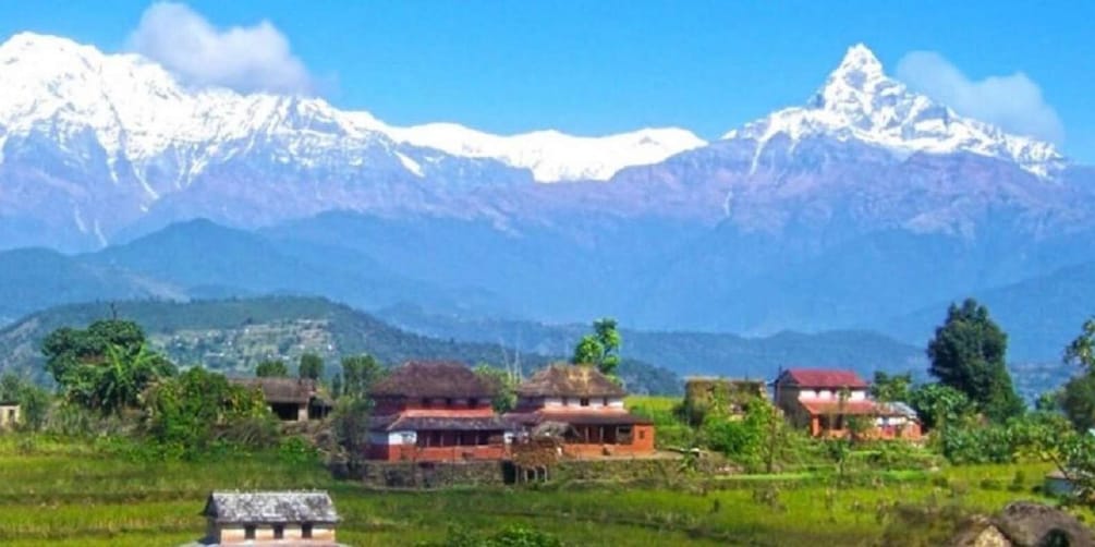 Picture 4 for Activity Pokhara: 4-Days Panchase Trek with Annapurna Panoramic view