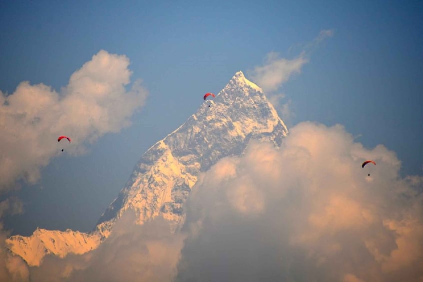 Picture 10 for Activity Pokhara: 4-Days Panchase Trek with Annapurna Panoramic view