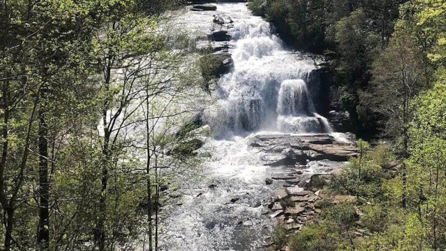 Coffee Hike to Three Waterfalls in DuPont State Forest