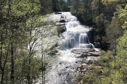 Coffee Hike to Three Waterfalls in DuPont State Forest