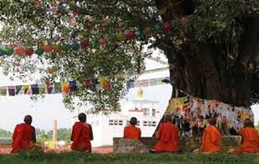 Picture 5 for Activity Lumbini: Guided Day Tour to Lumbini - Birthplace of Buddha