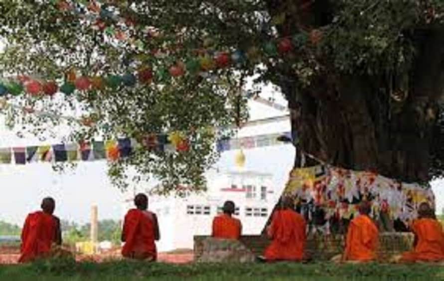 Picture 2 for Activity From Lumbini: Private Day Tour to the Birthplace of Buddha