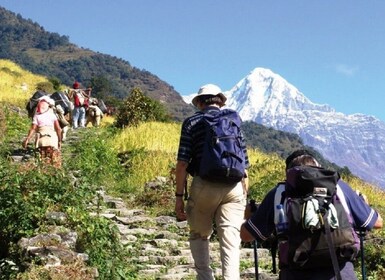 Pokhara: Dagwandeling met gids naar Australisch basiskamp