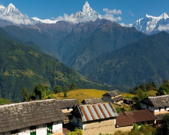 Picture 8 for Activity From Pokhara: Day Hike with Annapurna Panoramic View