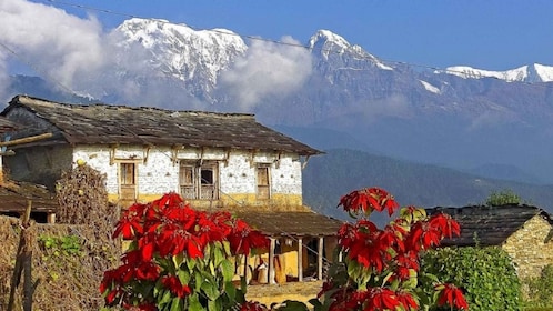 Au départ de Pokhara : Randonnée guidée d'une journée avec vue panoramique ...