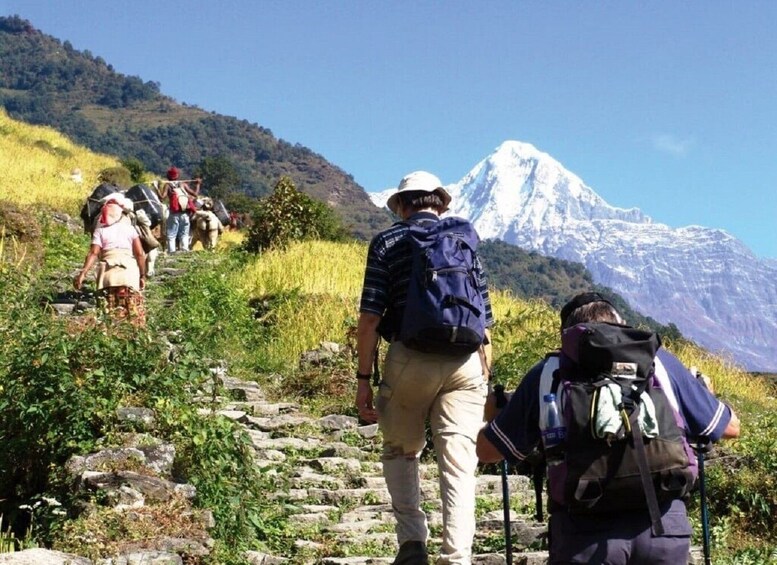 Picture 1 for Activity From Pokhara: Guided Day Hike with Annapurna Panoramic View