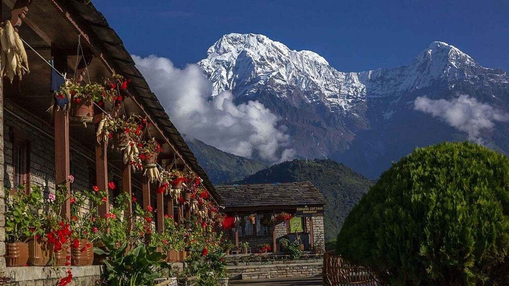 Picture 6 for Activity Pokhara: 4-Day Ghorepani, Poonhill, & Ghandruk Mountain Trek