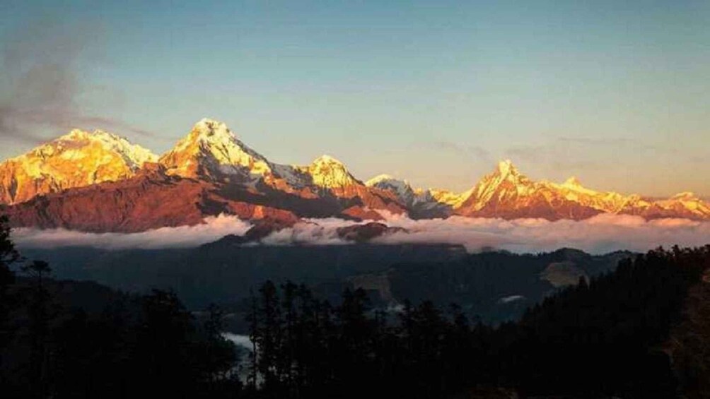 Picture 1 for Activity Pokhara: 4-Day Ghorepani, Poonhill, & Ghandruk Mountain Trek