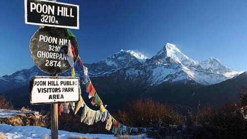 Pokhara : Ghorepani de 4 jours, Poonhill, et Ghandruk Mountain Trek