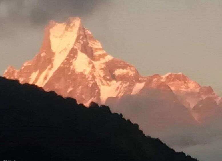 Picture 11 for Activity Pokhara: 4-Day Ghorepani, Poonhill, & Ghandruk Mountain Trek