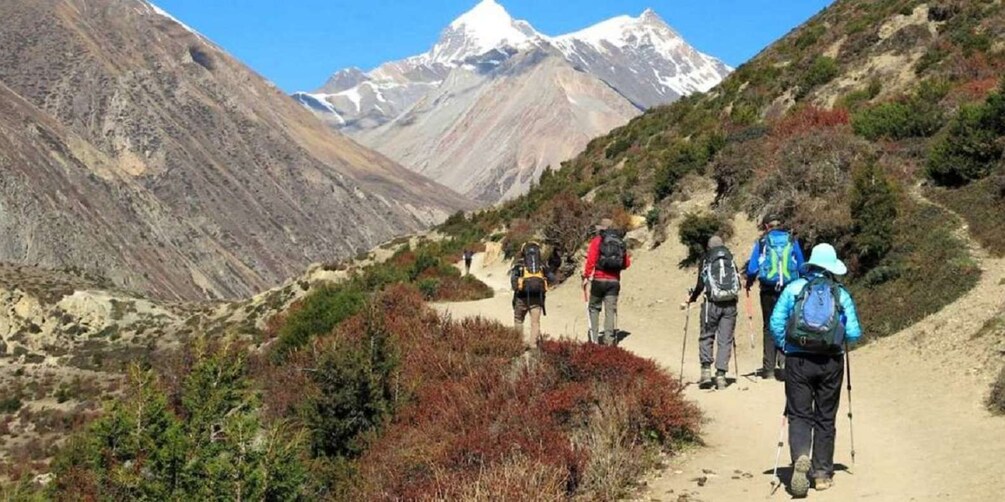 Picture 9 for Activity From Kathmandu/Pokhara: 9-Day Annapurna Circuit Trek