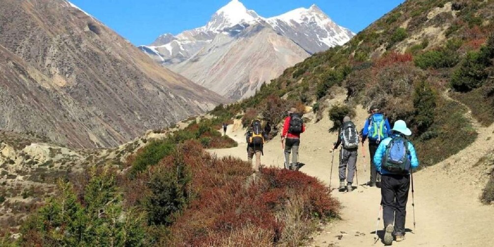 Picture 9 for Activity From Kathmandu/Pokhara: 9-Day Annapurna Circuit Trek