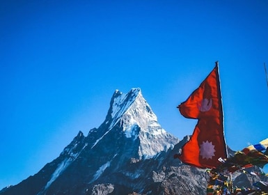 Da Pokhara: trekking guidato di 3 giorni Mardi Himal con pasti
