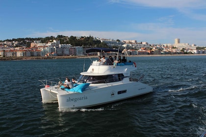 Lissabon: Privé Catamaran Tour langs de rivier de Taag