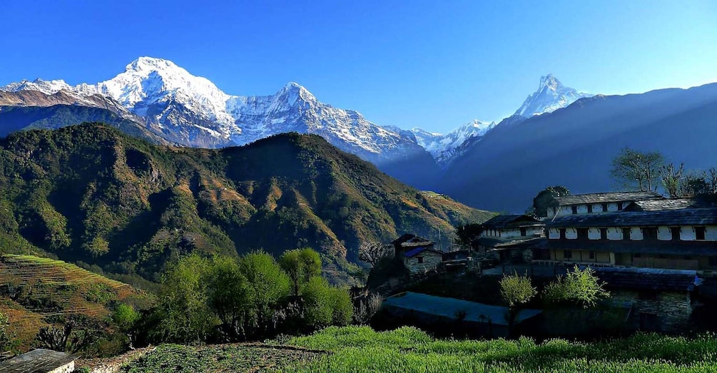 Picture 4 for Activity Pokhara: 3-Day Ghandruk Village Guided Trek- Lap On Mountain