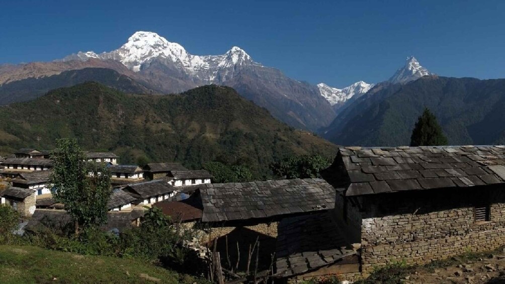 Picture 1 for Activity Pokhara: 3-Day Ghandruk Village Guided Trek- Lap On Mountain