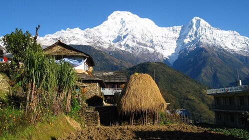 Pokhara: 3-daagse trektocht met gids door Ghandruk Village - ronde op de be...