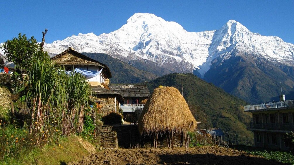 Pokhara: 3-Day Ghandruk Village Guided Trek- Lap On Mountain