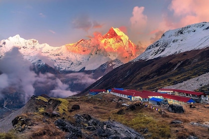 From Pokhara: 5-Day Annapurna Basecamp Trek with Hot Springs