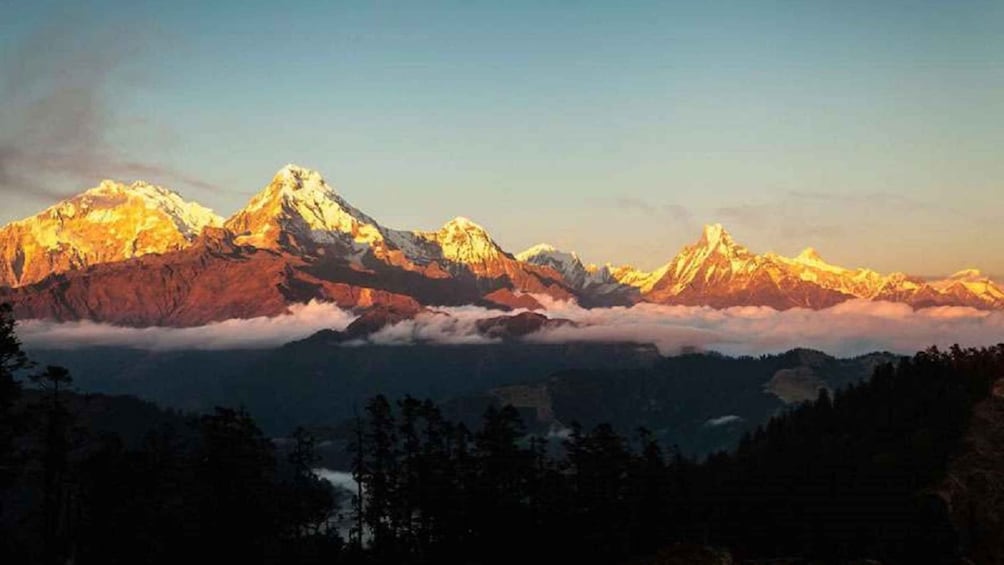 From Pokhara: 5-Day Annapurna Basecamp Trek with Hot Springs