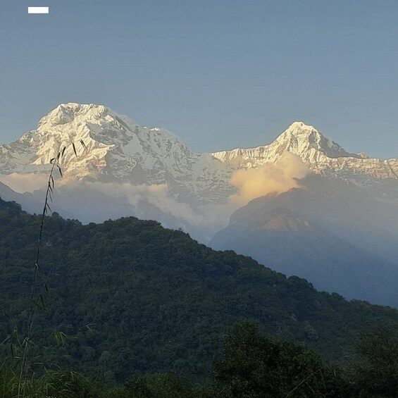 Picture 5 for Activity Pokhara: Peace Pagoda Sunset, Annapurna Mountain Views Tour